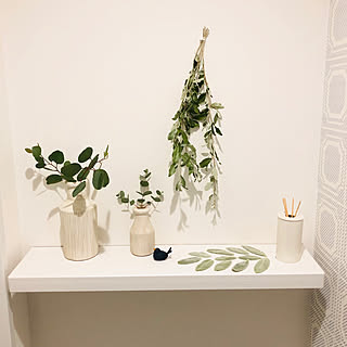 無印良品/ロシアンオリーブ/ラムズイヤー/ユーカリポポラス/ユーカリグニー...などのインテリア実例 - 2019-08-11 09:23:24