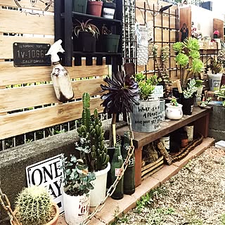 バス/トイレ/JUNK GARDEN/いいね、フォロー本当に感謝デス☺︎/多肉植物/男前...などのインテリア実例 - 2017-04-26 16:46:52