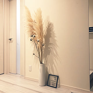 ニトリ コットンフラワードライの商品を使ったおしゃれなインテリア実例 Roomclip ルームクリップ