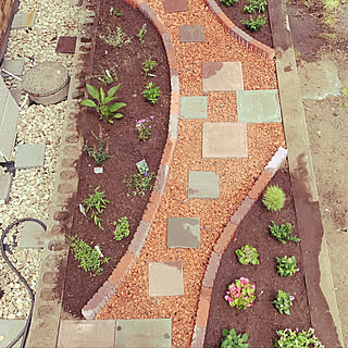 花壇 ホーマックのおしゃれなインテリアコーディネート レイアウトの実例 Roomclip ルームクリップ