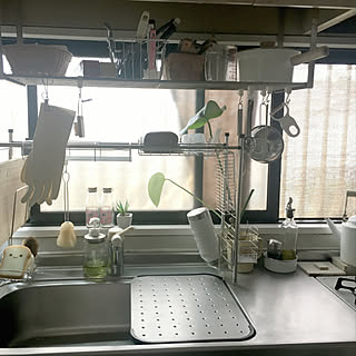 セリアのゴム手袋のインテリア実例 Roomclip ルームクリップ
