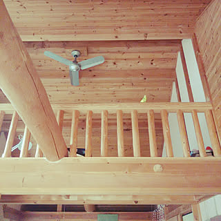 部屋全体/鳥のいる生活/ぴーちです♡/ナチュラルインテリア/木の部屋...などのインテリア実例 - 2019-06-14 13:45:51