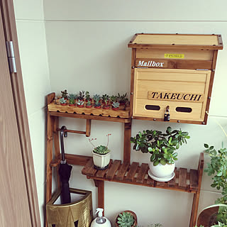 多肉植物コーナーのインテリア実例 Roomclip ルームクリップ