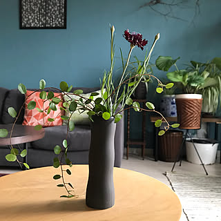 築20年/賃貸/暮らし感/アクセントクロス/植物のあり過ぎる暮らし/ig→hitorururu...などのインテリア実例 - 2018-05-30 12:49:31