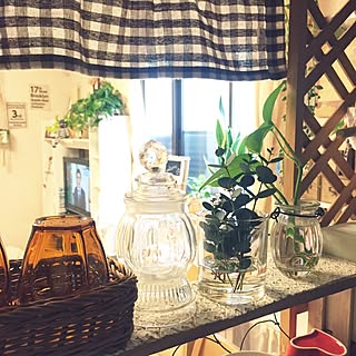 棚/観葉植物/ほぼ100均/ダイソー/ナチュラル...などのインテリア実例 - 2016-03-06 07:57:17