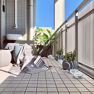 虫除けハーブのインテリア実例 Roomclip ルームクリップ