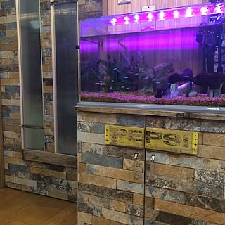 壁紙屋本舗 Pepsi ペプシ のまとめページ Roomclip ルームクリップ 壁紙屋本舗 Pepsi ペプシ のまとめページ Roomclip ルームクリップ