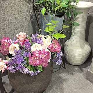 玄関/入り口/ガーデニング/紫陽花/薔薇/大原女...などのインテリア実例 - 2017-06-25 21:06:13