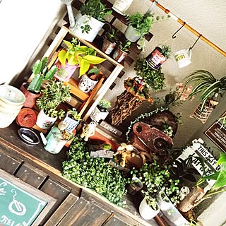 玄関/入り口/中古マンション/DIY/ハッピーRCライフ/和室だって諦めないっ!!/カメラマーク消し☆...などのインテリア実例 - 2016-07-01 07:13:10