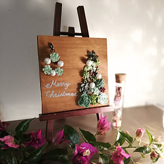 棚/クリスマス/クリスマスディスプレイ/粘土細工の多肉植物/ブーゲンビリア...などのインテリア実例 - 2019-11-29 05:02:50