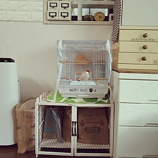 文鳥のいる暮らしのインテリア実例 Roomclip ルームクリップ 文鳥のいる暮らしのインテリア実例 Roomclip ルームクリップ
