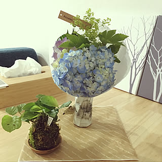 植物/吉祥寺菊屋/青山flower market/青山フラワーマーケット/Aoyama Flower Market...などのインテリア実例 - 2019-06-11 17:20:21