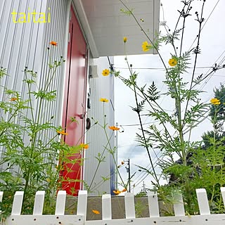 玄関/入り口/ガーデニング/くもり空/お花/お花のある暮らし...などのインテリア実例 - 2016-10-04 07:07:51
