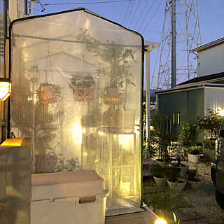 ビニールハウス ホームセンターで購入のインテリア実例 Roomclip ルームクリップ