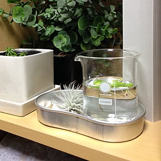 棚/植物/シンプルライフ/グレイッシュ/金属のインテリア実例 - 2013-09-25 00:39:36