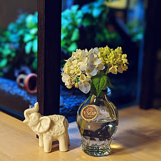 キッチン/いつもいいね！ありがとうございます♪/RCの出会いに感謝♡/キッチンカウンター/アクアリウム...などのインテリア実例 - 2019-06-02 22:25:42