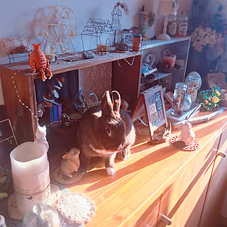 壁紙屋本舗 ハンプティダンプティのまとめページ Roomclip ルームクリップ 壁紙屋本舗 ハンプティダンプティのまとめページ Roomclip ルームクリップ