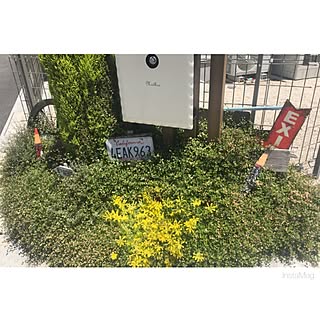 ガーデニング ポスト下のおしゃれなインテリア 部屋 家具の実例 Roomclip ルームクリップ