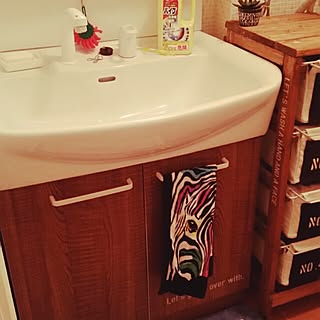 大掃除/DIY棚/使い古しの歯ブラシ/固形石鹸/パイプ洗浄剤/母上作の毛糸のスポンジ...などのインテリア実例 - 2015-12-06 23:22:22