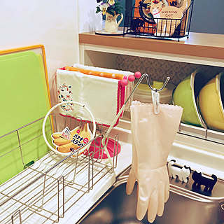 ゴム手袋収納のインテリア実例 Roomclip ルームクリップ