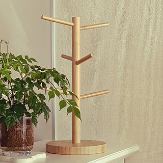 チャコボールのインテリア実例 Roomclip ルームクリップ