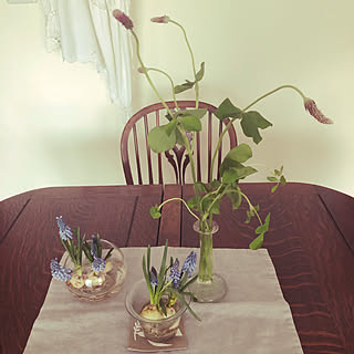 アンティークチェアー/ストロベリーキャンドル/ムスカリ水栽培/照明/アンティーク...などのインテリア実例 - 2020-02-24 21:42:17