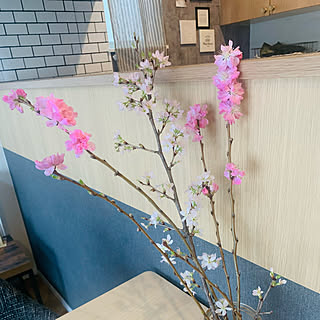 玄関 入り口 桜の枝のおしゃれなアレンジ 飾り方のインテリア実例 Roomclip ルームクリップ