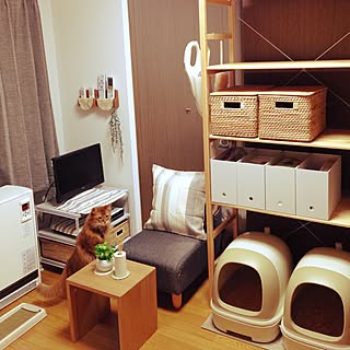 部屋全体/一人暮らし/賃貸/築20年以上/1LDK...などのインテリア実例 - 2016-04-13 21:14:30