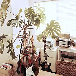 机/NO GREEN NO LIFE/モンステラ/観葉植物/ギター...などのインテリア実例 - 2014-09-20 11:10:23