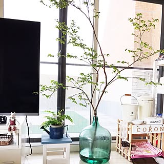 植物 ナツハゼのおしゃれなアレンジ 飾り方のインテリア実例 Roomclip ルームクリップ 植物 ナツハゼのおしゃれなアレンジ 飾り方のインテリア実例 Roomclip ルームクリップ