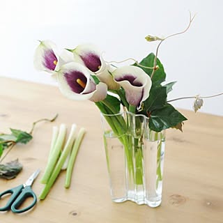 花のある暮らし/花器/花瓶/イッタラ/フラワベース...などのインテリア実例 - 2017-04-09 23:33:18