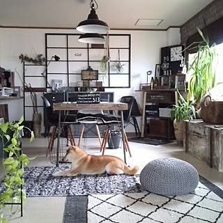 部屋全体/ハル/プフ/ペンダントライトリメイク/ラダーDIY...などのインテリア実例 - 2017-02-24 11:30:29
