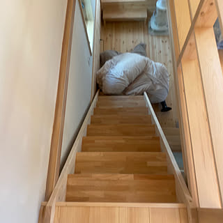急な階段のインテリア実例 Roomclip ルームクリップ