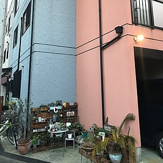部屋全体/パレットガーデニングDIY/RC(鉄筋コンクリート)造/我が家/!!!!!アホ仲間!!!!!...などのインテリア実例 - 2017-01-28 17:35:10