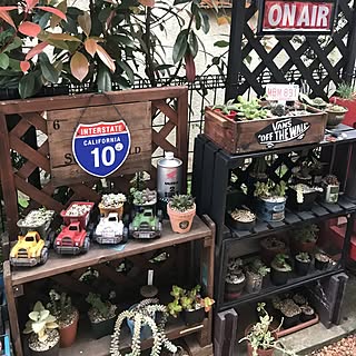 棚/ダイソーミニカー/写真加工なし/虫除けサインボード/多肉植物...などのインテリア実例 - 2017-04-27 18:10:01