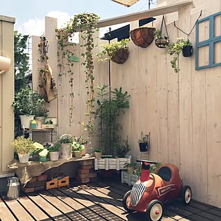 観葉植物 渋谷園芸のインテリア実例 Roomclip ルームクリップ