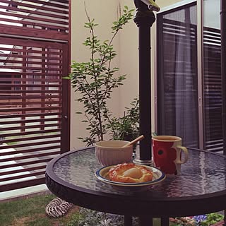 玄関/入り口/観葉植物/植物/手作り/北欧...などのインテリア実例 - 2014-05-26 07:12:45