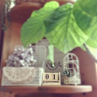 棚/フェイクグリーン/3COINS/セリア/100均...などのインテリア実例 - 2014-09-01 06:34:18