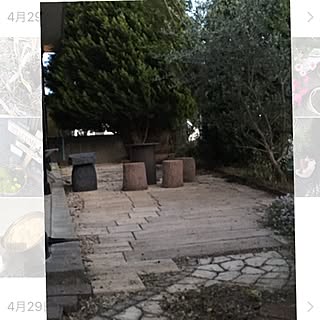 癒し 風水のインテリア実例 Roomclip ルームクリップ