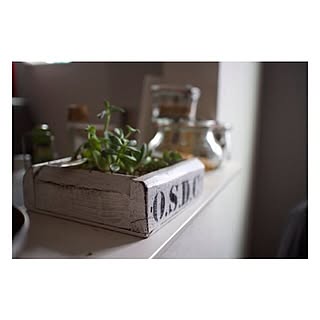 女性の、1LDK、家族住まいの「棚」についてのインテリア実例