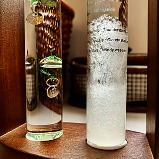 玄関 入り口 ガリレオ温度計のおしゃれなアレンジ 飾り方のインテリア実例 Roomclip ルームクリップ