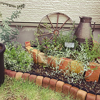 ロータスクレティクスのインテリア実例 Roomclip ルームクリップ