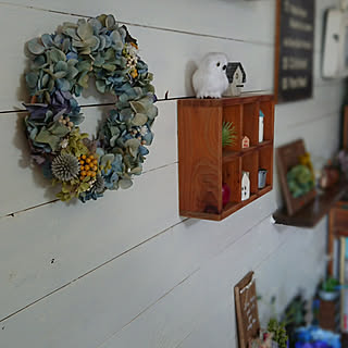 部屋全体/賃貸でも楽しく♪/いいね!ありがとうございます♪/フォロワー様に感謝です !/自己満足( ̄^ ̄)ゞ/ドライフラワー...などのインテリア実例 - 2017-08-13 10:16:35