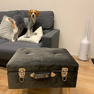 リビング/一人暮らしのインテリア実例 - 2020-02-24 22:19:03