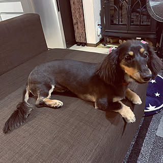 サマーカットのインテリア実例 Roomclip ルームクリップ サマーカットのインテリア実例 Roomclip ルームクリップ