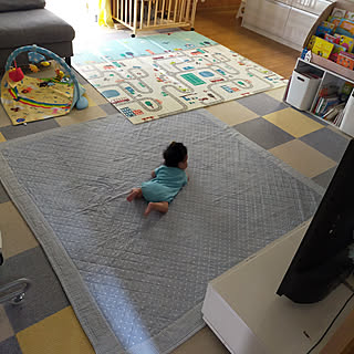 撥水マットのインテリア実例 Roomclip ルームクリップ