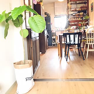 玄関/入り口/うんべさん/こんにちは⑅◡̈* ❁/いいね♪いつもありがとうございます❤️/観葉植物...などのインテリア実例 - 2017-06-05 10:14:00