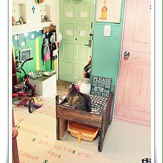 玄関/入り口/DIY/ねこのいる日常/ネコのトイレ/隠す...などのインテリア実例 - 2014-07-30 08:42:38