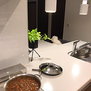 アルテック/ポトスライム/カレーライス/トイプーのシュガー/ラゴスティーナ...などのインテリア実例 - 2018-12-06 17:42:05