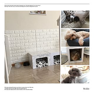 ジョイントマット ワンコハウスのおしゃれなアレンジ 飾り方のインテリア実例 Roomclip ルームクリップ ジョイントマット ワンコハウスのおしゃれなアレンジ 飾り方のインテリア実例 Roomclip ルームクリップ